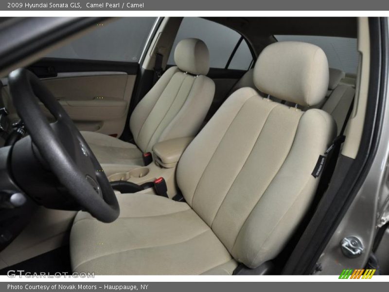 Camel Pearl / Camel 2009 Hyundai Sonata GLS