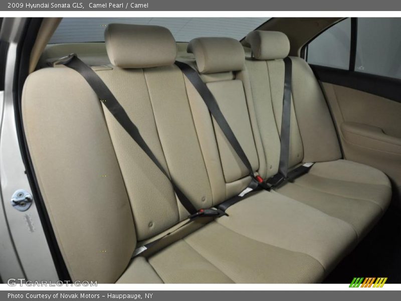 Camel Pearl / Camel 2009 Hyundai Sonata GLS