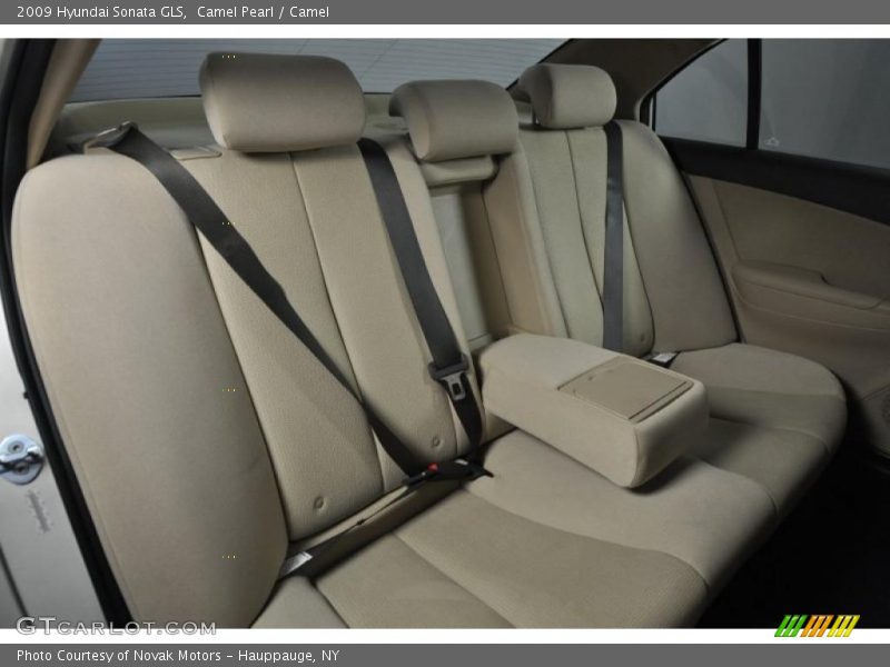 Camel Pearl / Camel 2009 Hyundai Sonata GLS