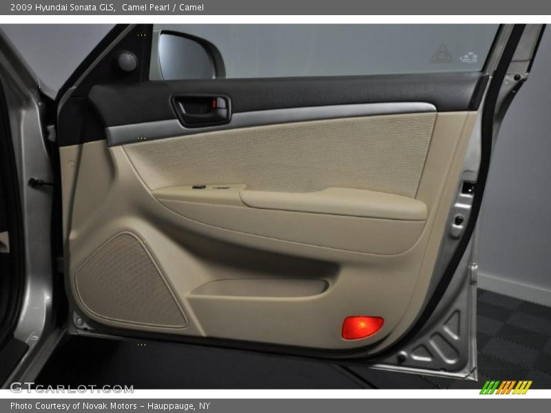 Camel Pearl / Camel 2009 Hyundai Sonata GLS