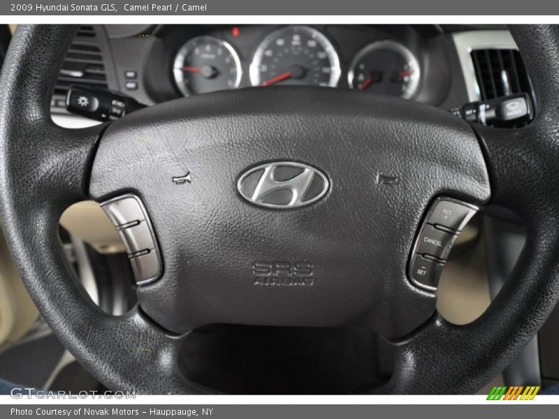 Camel Pearl / Camel 2009 Hyundai Sonata GLS