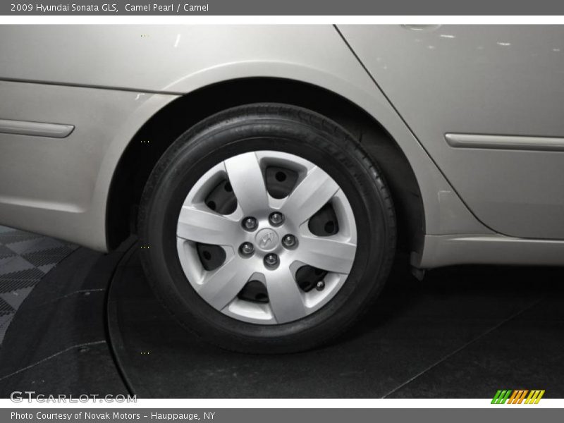 Camel Pearl / Camel 2009 Hyundai Sonata GLS