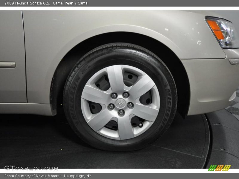 Camel Pearl / Camel 2009 Hyundai Sonata GLS