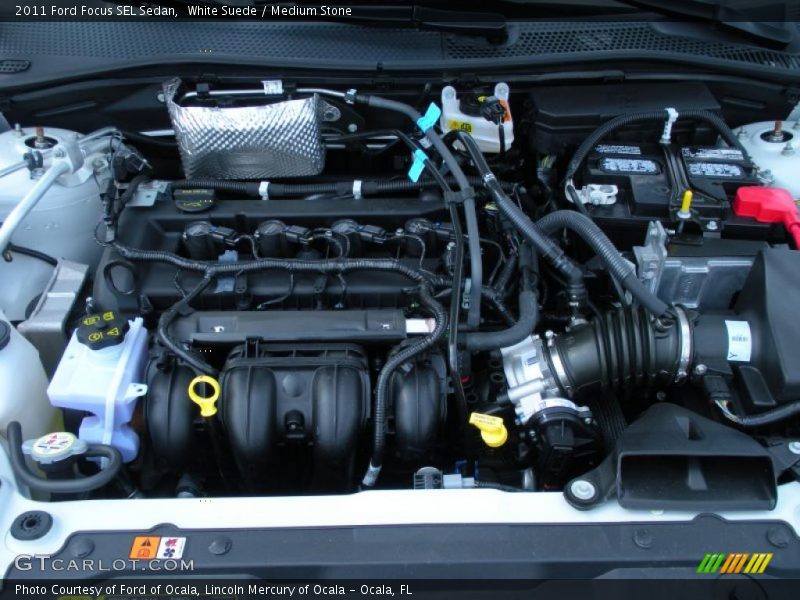 White Suede / Medium Stone 2011 Ford Focus SEL Sedan