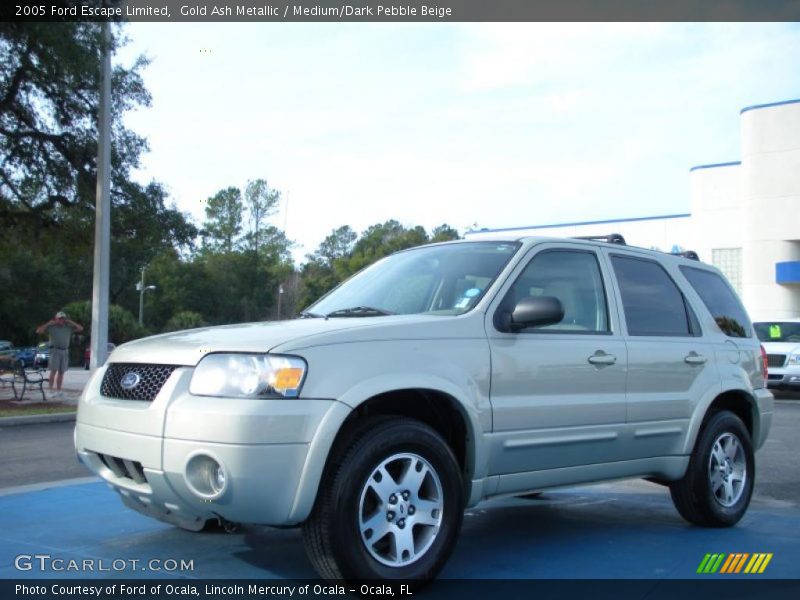 Gold Ash Metallic / Medium/Dark Pebble Beige 2005 Ford Escape Limited