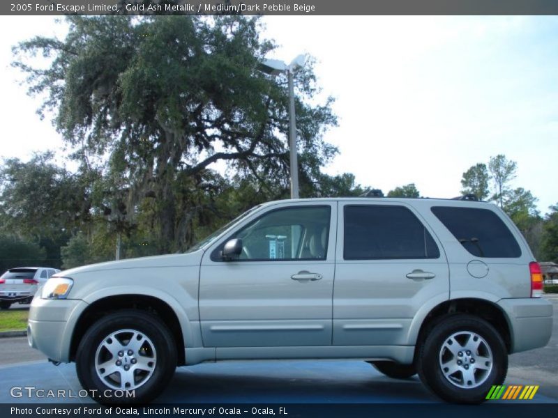Gold Ash Metallic / Medium/Dark Pebble Beige 2005 Ford Escape Limited