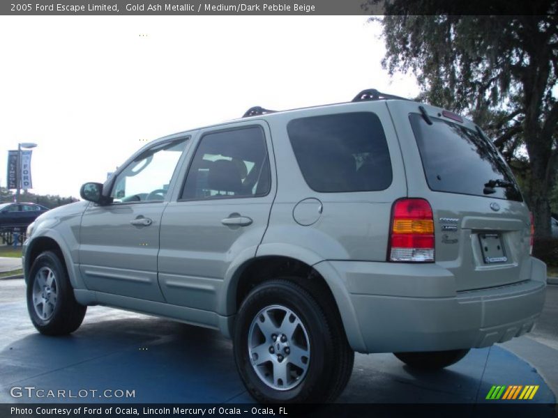 Gold Ash Metallic / Medium/Dark Pebble Beige 2005 Ford Escape Limited