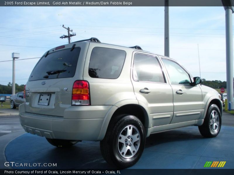 Gold Ash Metallic / Medium/Dark Pebble Beige 2005 Ford Escape Limited