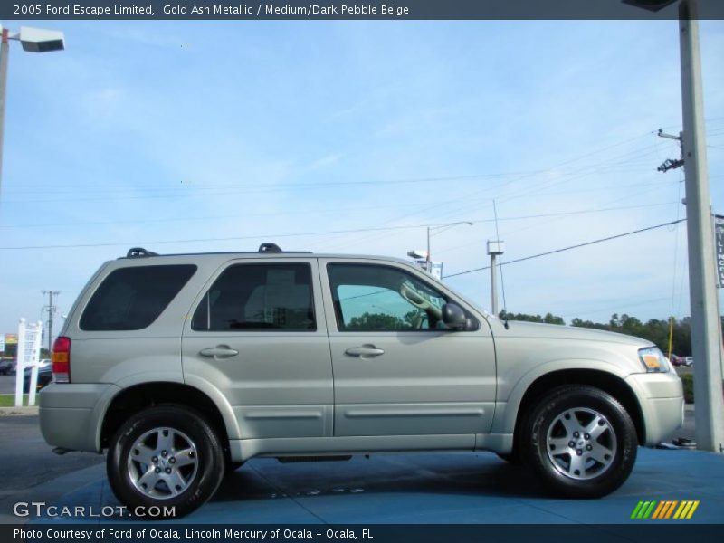 Gold Ash Metallic / Medium/Dark Pebble Beige 2005 Ford Escape Limited