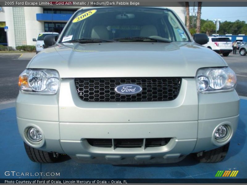 Gold Ash Metallic / Medium/Dark Pebble Beige 2005 Ford Escape Limited