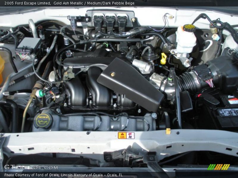 Gold Ash Metallic / Medium/Dark Pebble Beige 2005 Ford Escape Limited
