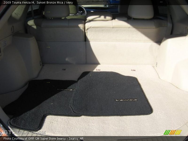 Sunset Bronze Mica / Ivory 2009 Toyota Venza I4