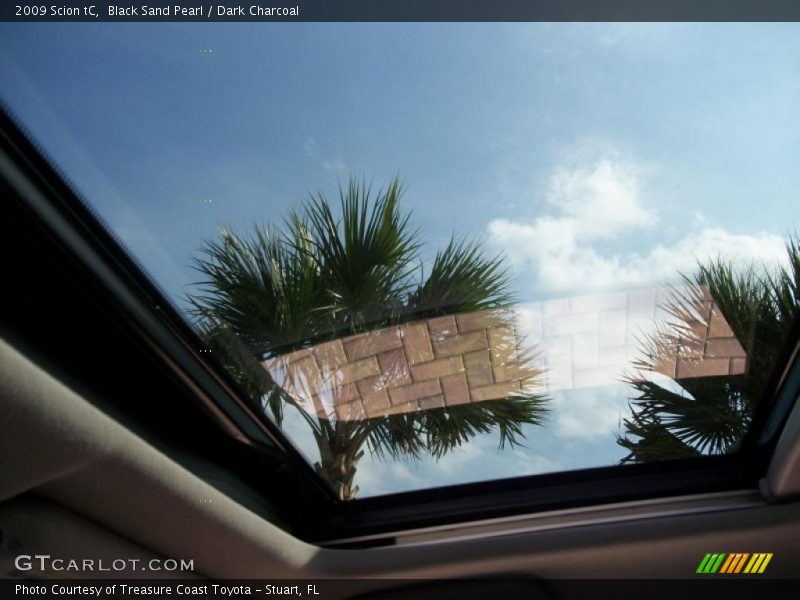 Black Sand Pearl / Dark Charcoal 2009 Scion tC