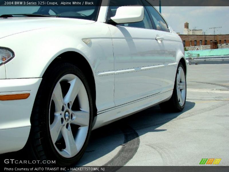 Alpine White / Black 2004 BMW 3 Series 325i Coupe