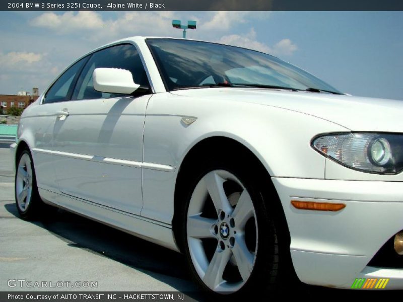 Alpine White / Black 2004 BMW 3 Series 325i Coupe