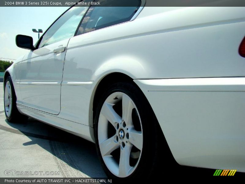 Alpine White / Black 2004 BMW 3 Series 325i Coupe