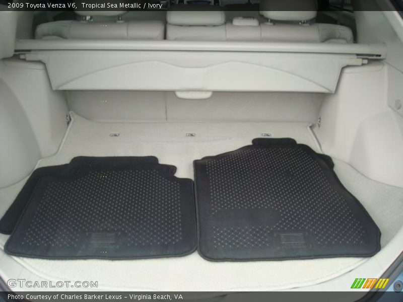 Tropical Sea Metallic / Ivory 2009 Toyota Venza V6
