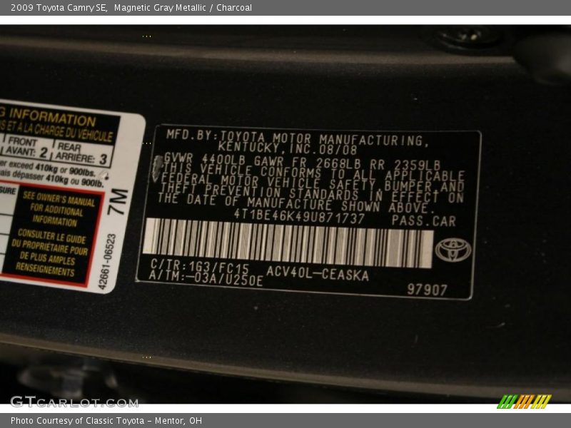 Magnetic Gray Metallic / Charcoal 2009 Toyota Camry SE