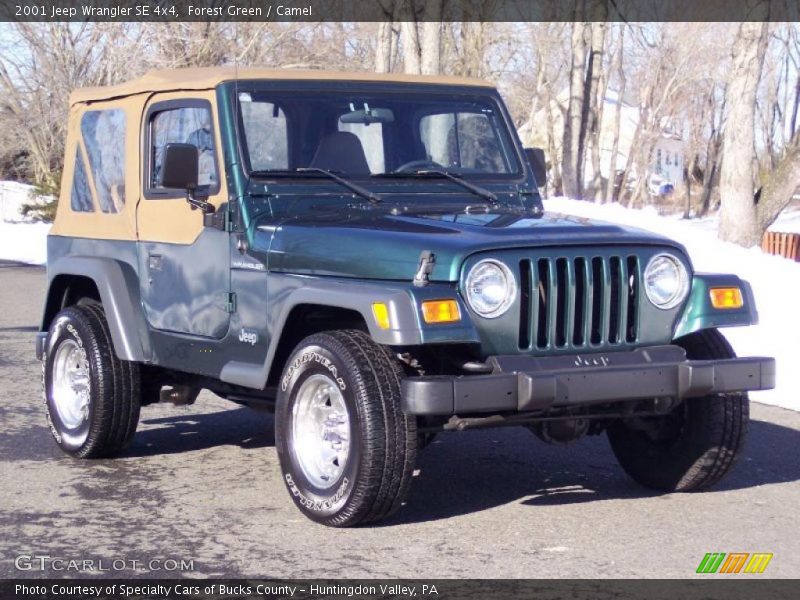 Forest Green / Camel 2001 Jeep Wrangler SE 4x4