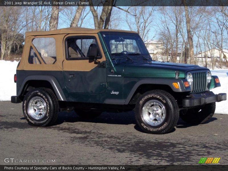 Forest Green / Camel 2001 Jeep Wrangler SE 4x4