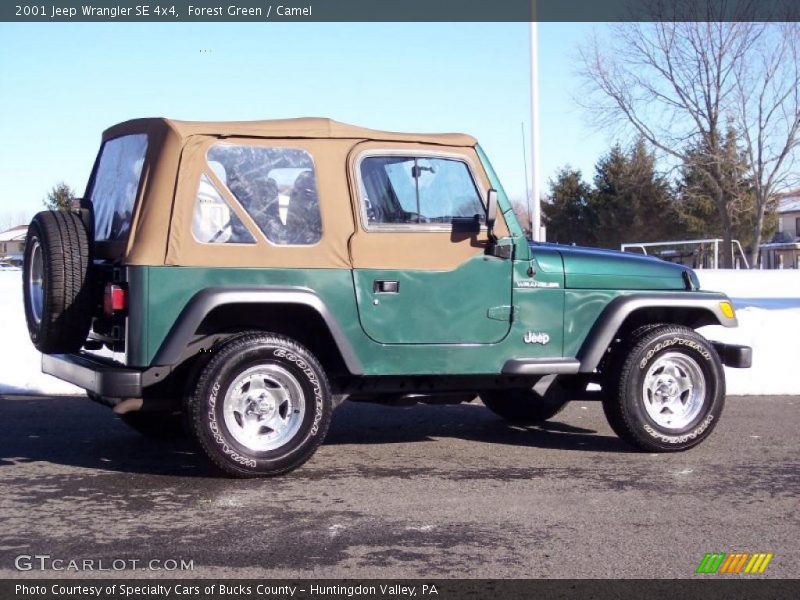 Forest Green / Camel 2001 Jeep Wrangler SE 4x4