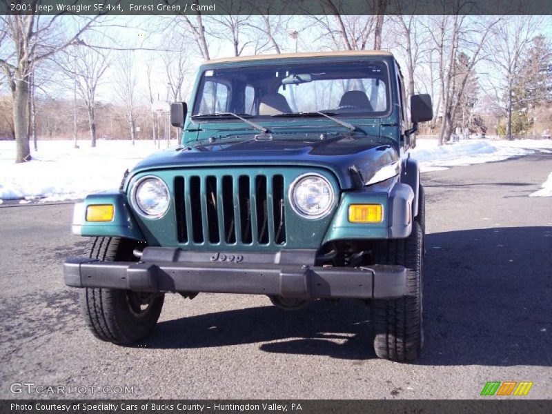 Forest Green / Camel 2001 Jeep Wrangler SE 4x4