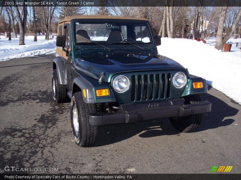 Forest Green / Camel 2001 Jeep Wrangler SE 4x4