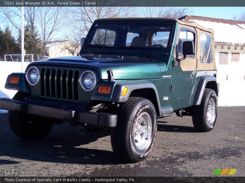 Forest Green / Camel 2001 Jeep Wrangler SE 4x4
