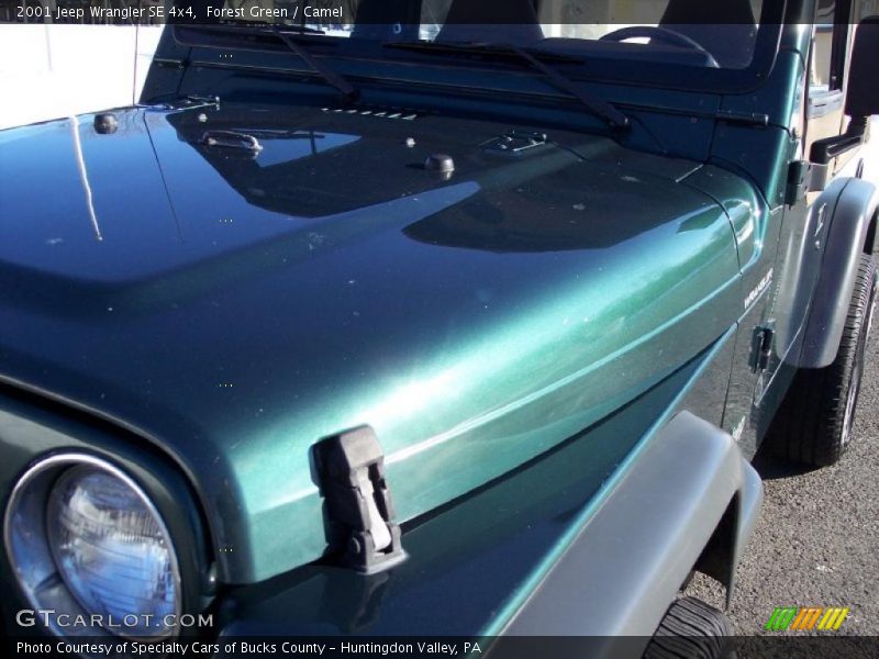 Forest Green / Camel 2001 Jeep Wrangler SE 4x4