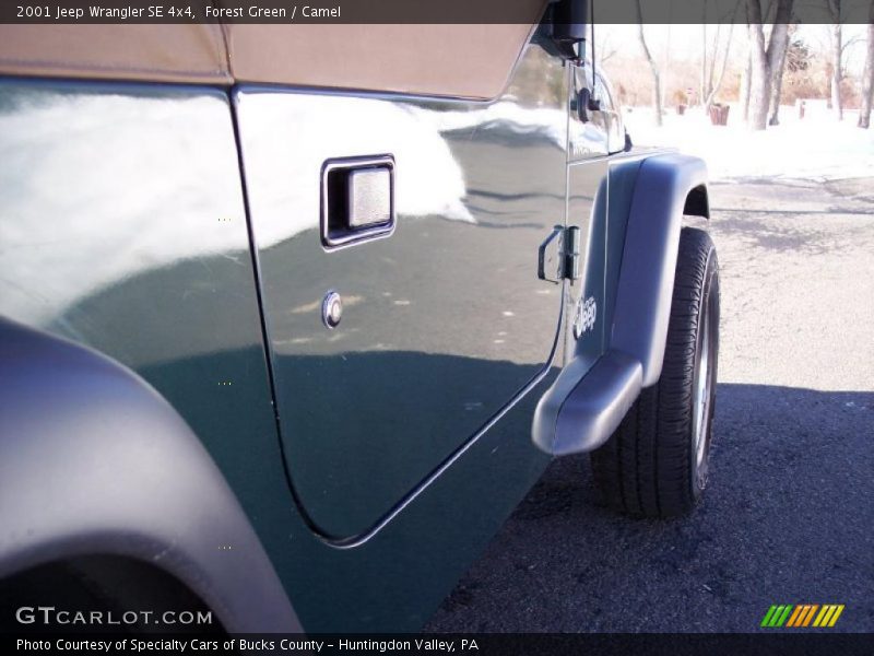 Forest Green / Camel 2001 Jeep Wrangler SE 4x4