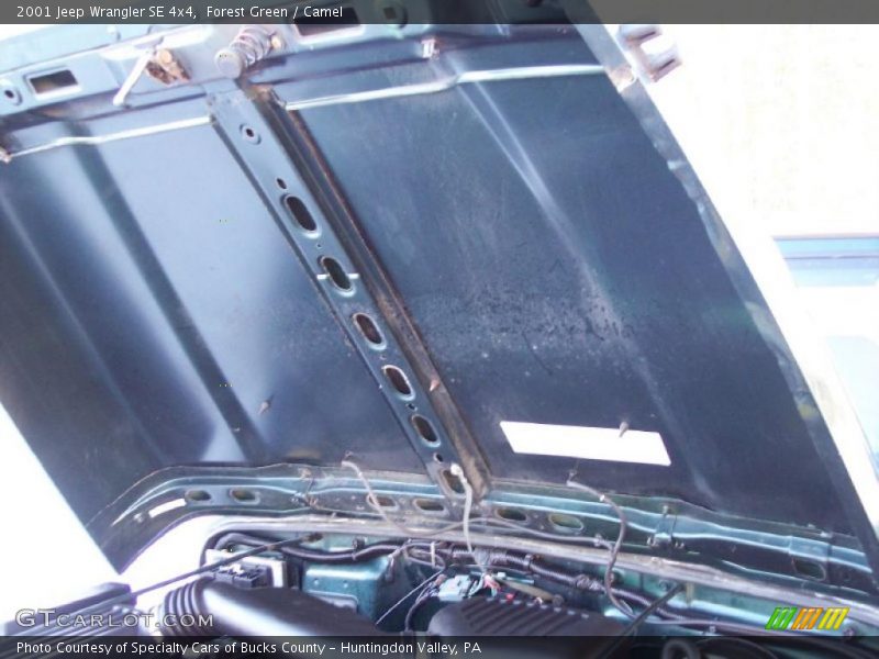 Forest Green / Camel 2001 Jeep Wrangler SE 4x4