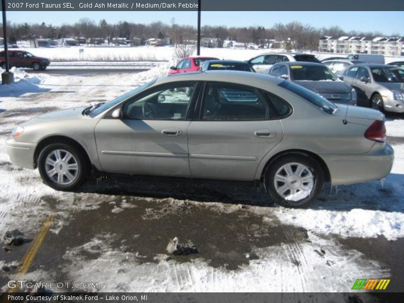Gold Ash Metallic / Medium/Dark Pebble 2007 Ford Taurus SEL