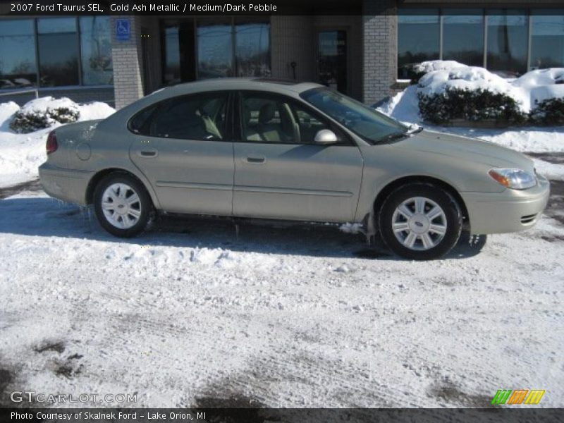 Gold Ash Metallic / Medium/Dark Pebble 2007 Ford Taurus SEL