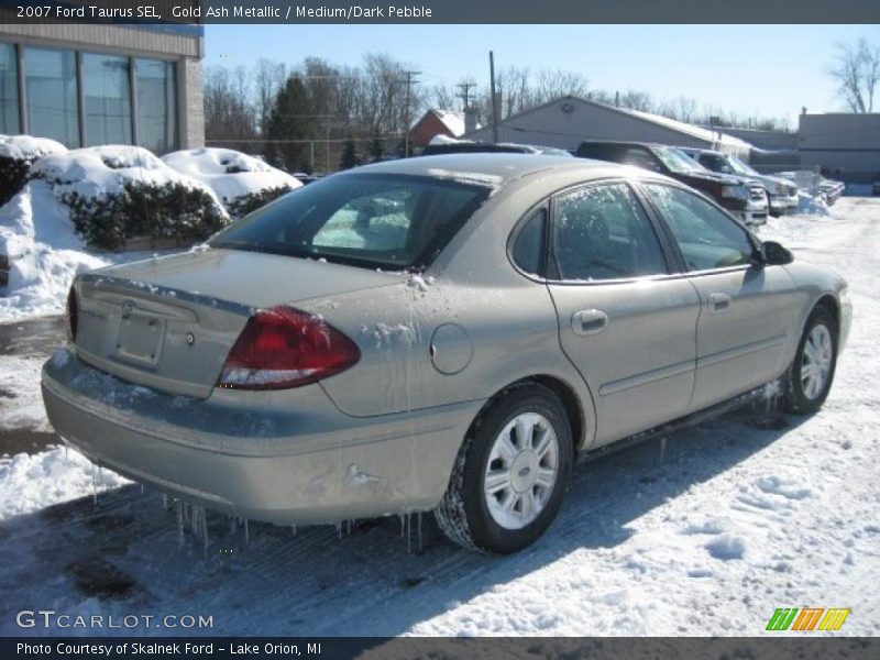 Gold Ash Metallic / Medium/Dark Pebble 2007 Ford Taurus SEL