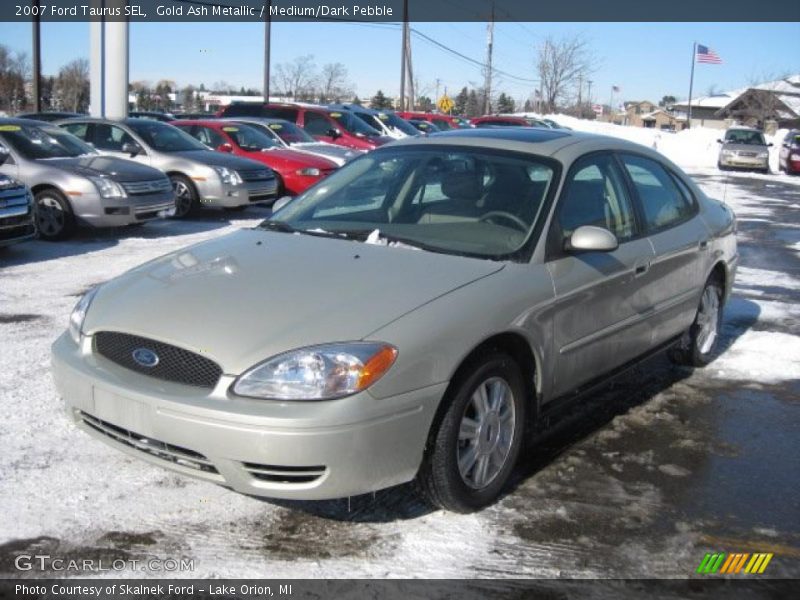 Gold Ash Metallic / Medium/Dark Pebble 2007 Ford Taurus SEL