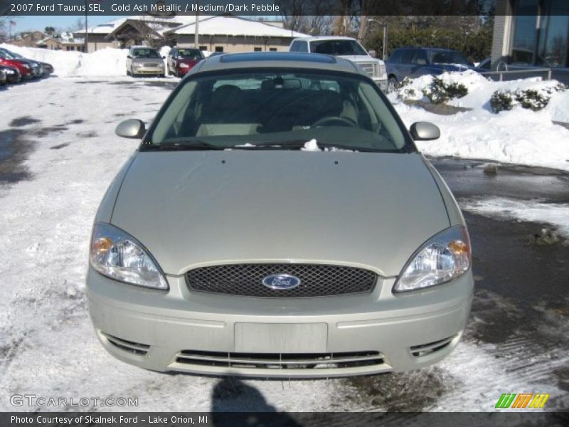 Gold Ash Metallic / Medium/Dark Pebble 2007 Ford Taurus SEL