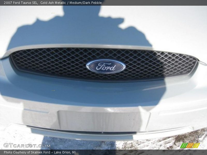 Gold Ash Metallic / Medium/Dark Pebble 2007 Ford Taurus SEL