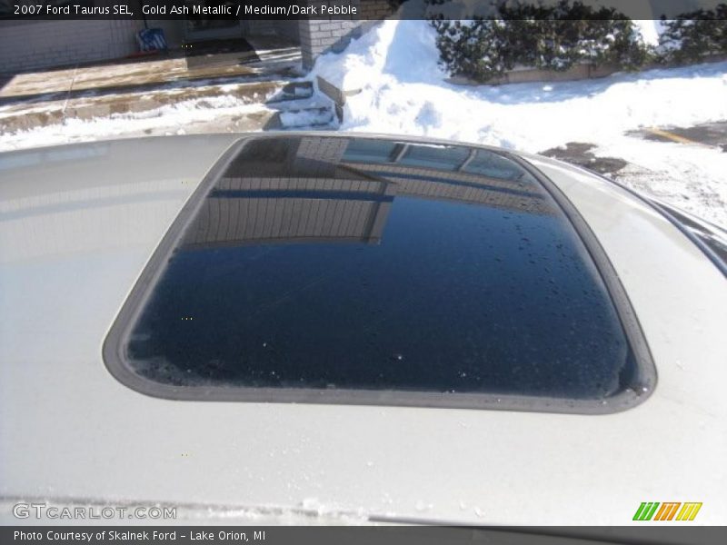 Gold Ash Metallic / Medium/Dark Pebble 2007 Ford Taurus SEL