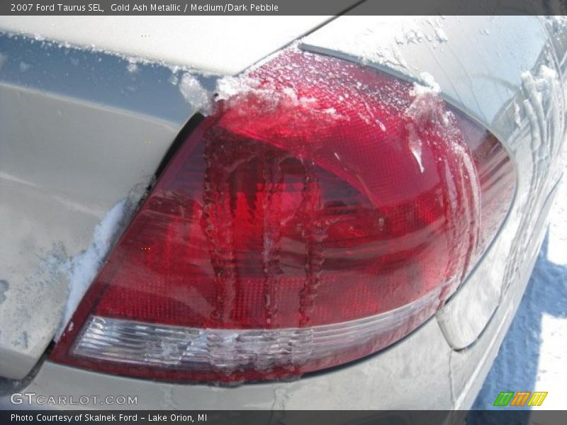 Gold Ash Metallic / Medium/Dark Pebble 2007 Ford Taurus SEL