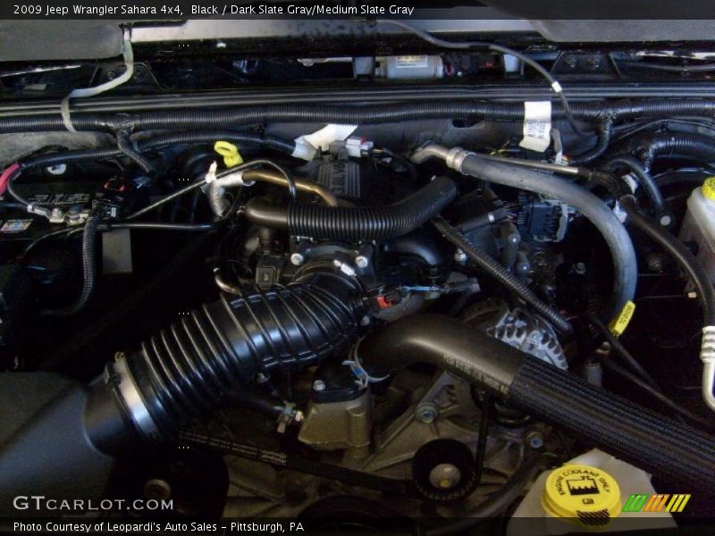 Black / Dark Slate Gray/Medium Slate Gray 2009 Jeep Wrangler Sahara 4x4