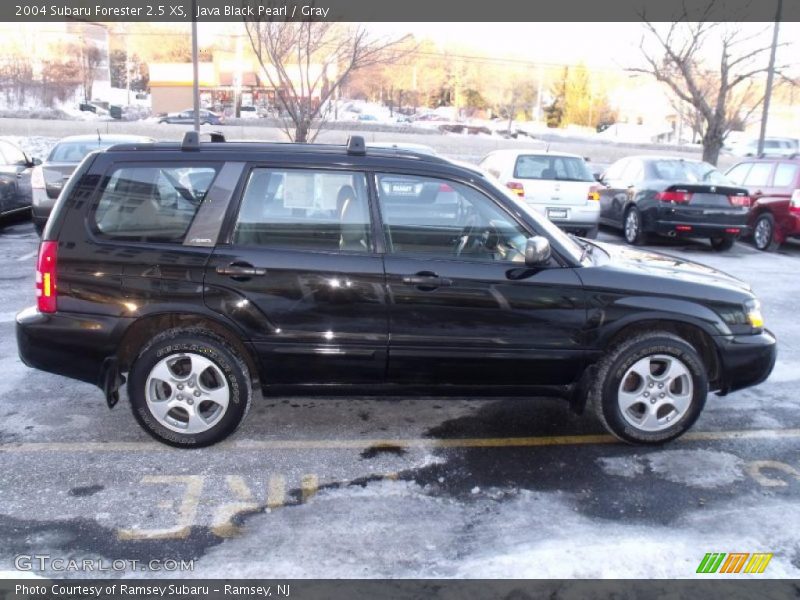 Java Black Pearl / Gray 2004 Subaru Forester 2.5 XS