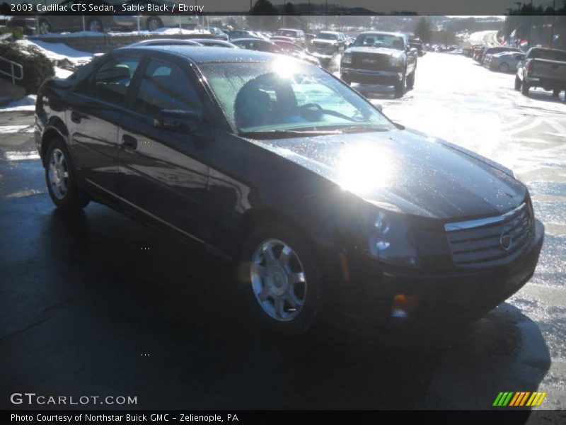 Sable Black / Ebony 2003 Cadillac CTS Sedan