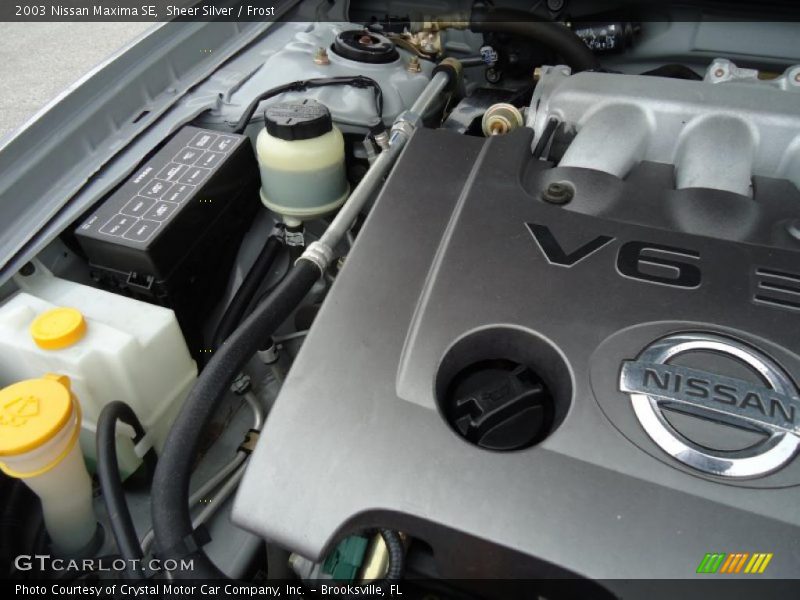 Sheer Silver / Frost 2003 Nissan Maxima SE