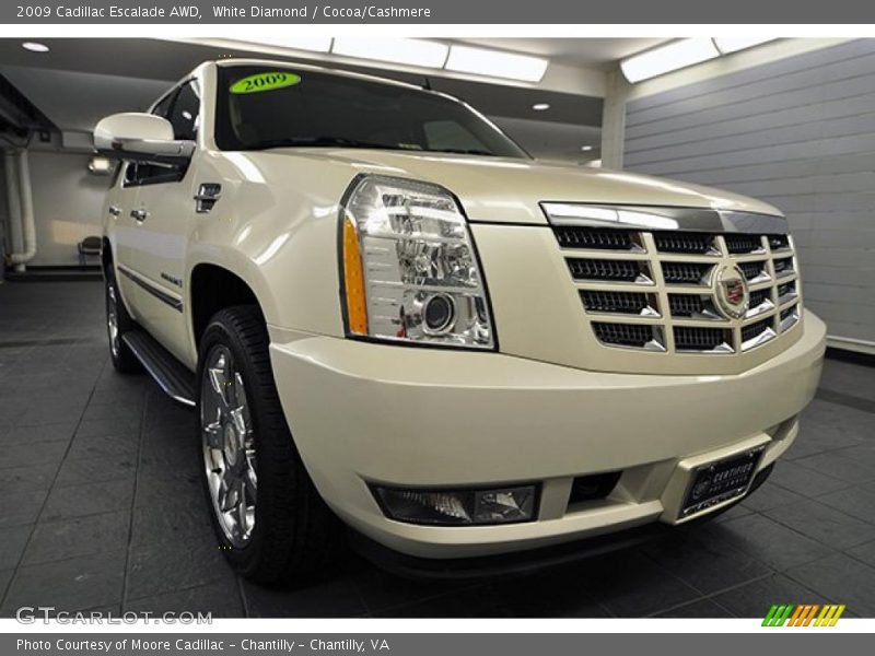 White Diamond / Cocoa/Cashmere 2009 Cadillac Escalade AWD