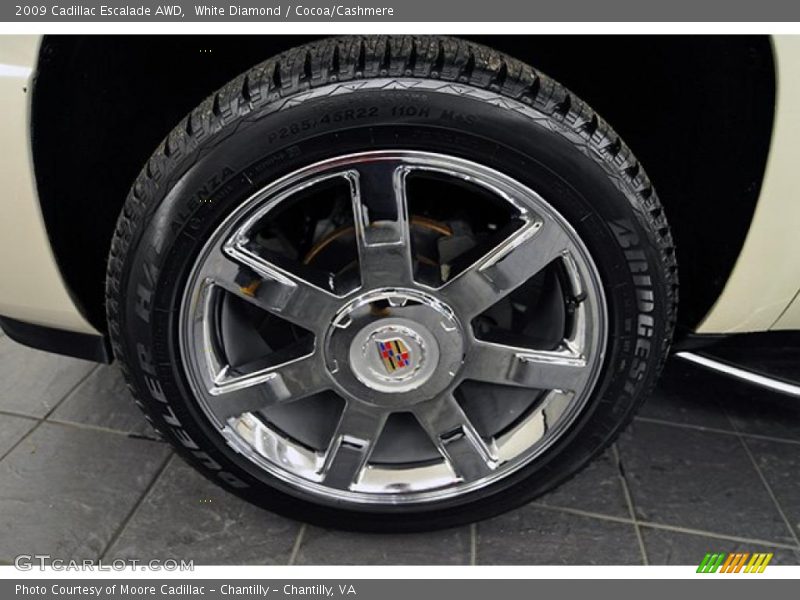 White Diamond / Cocoa/Cashmere 2009 Cadillac Escalade AWD