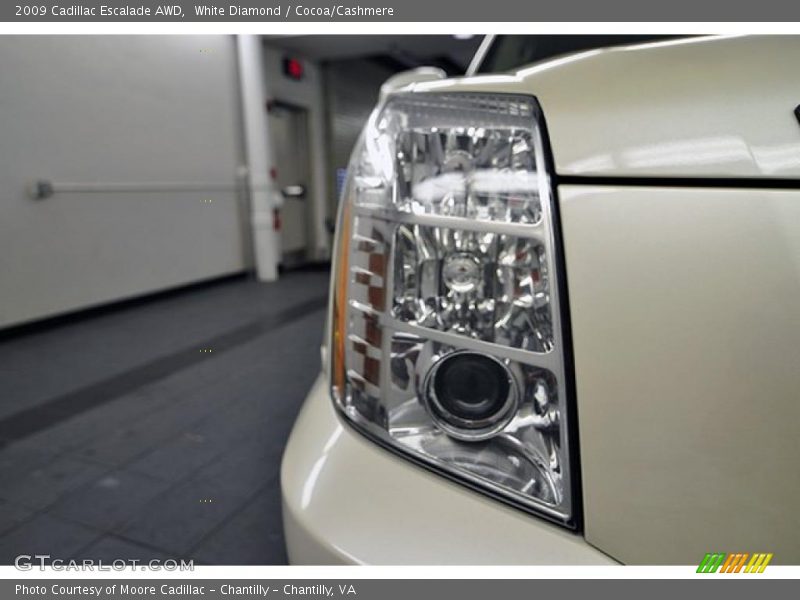 White Diamond / Cocoa/Cashmere 2009 Cadillac Escalade AWD