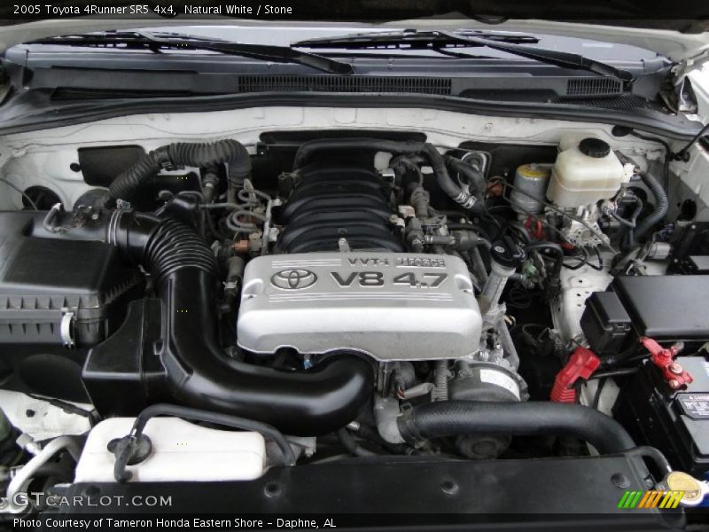Natural White / Stone 2005 Toyota 4Runner SR5 4x4