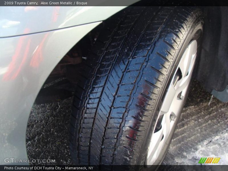 Aloe Green Metallic / Bisque 2009 Toyota Camry