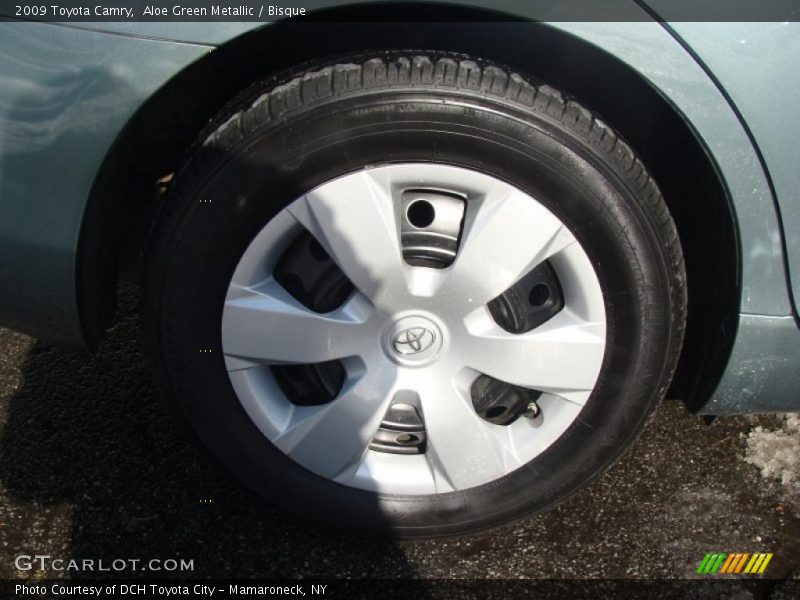 Aloe Green Metallic / Bisque 2009 Toyota Camry