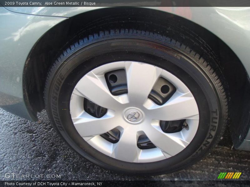 Aloe Green Metallic / Bisque 2009 Toyota Camry